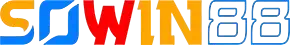 Sowin1 com